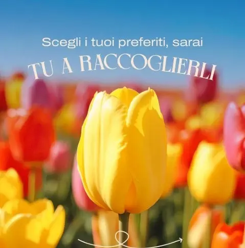 Marcianise 180326