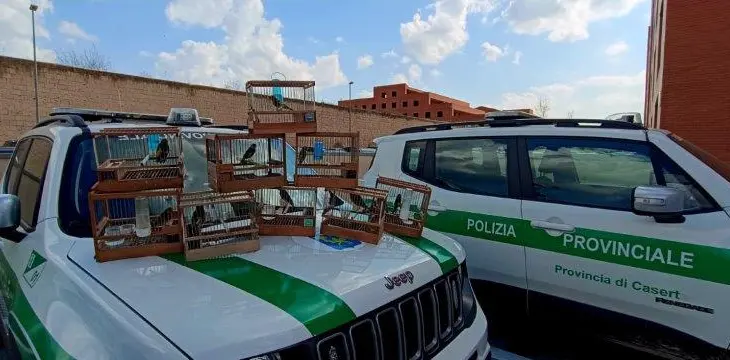 POLIZIAPROVCARDELLINI